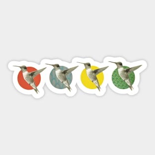 The Hummingbird Dance Sticker